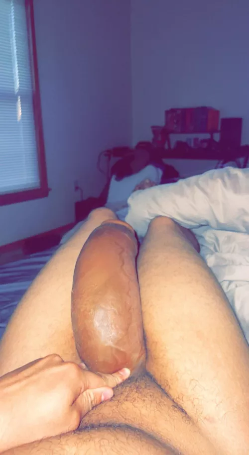 Sleepy lion and sleepy dick. 🫠