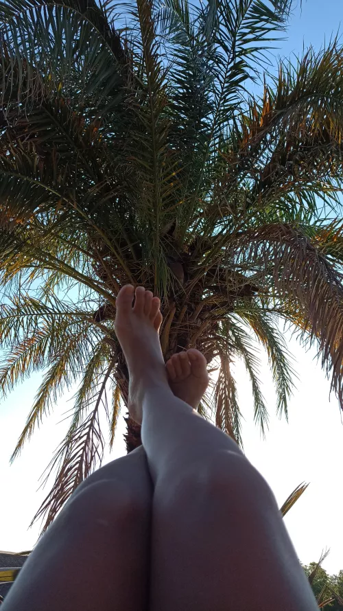 they need caresses 😈👅