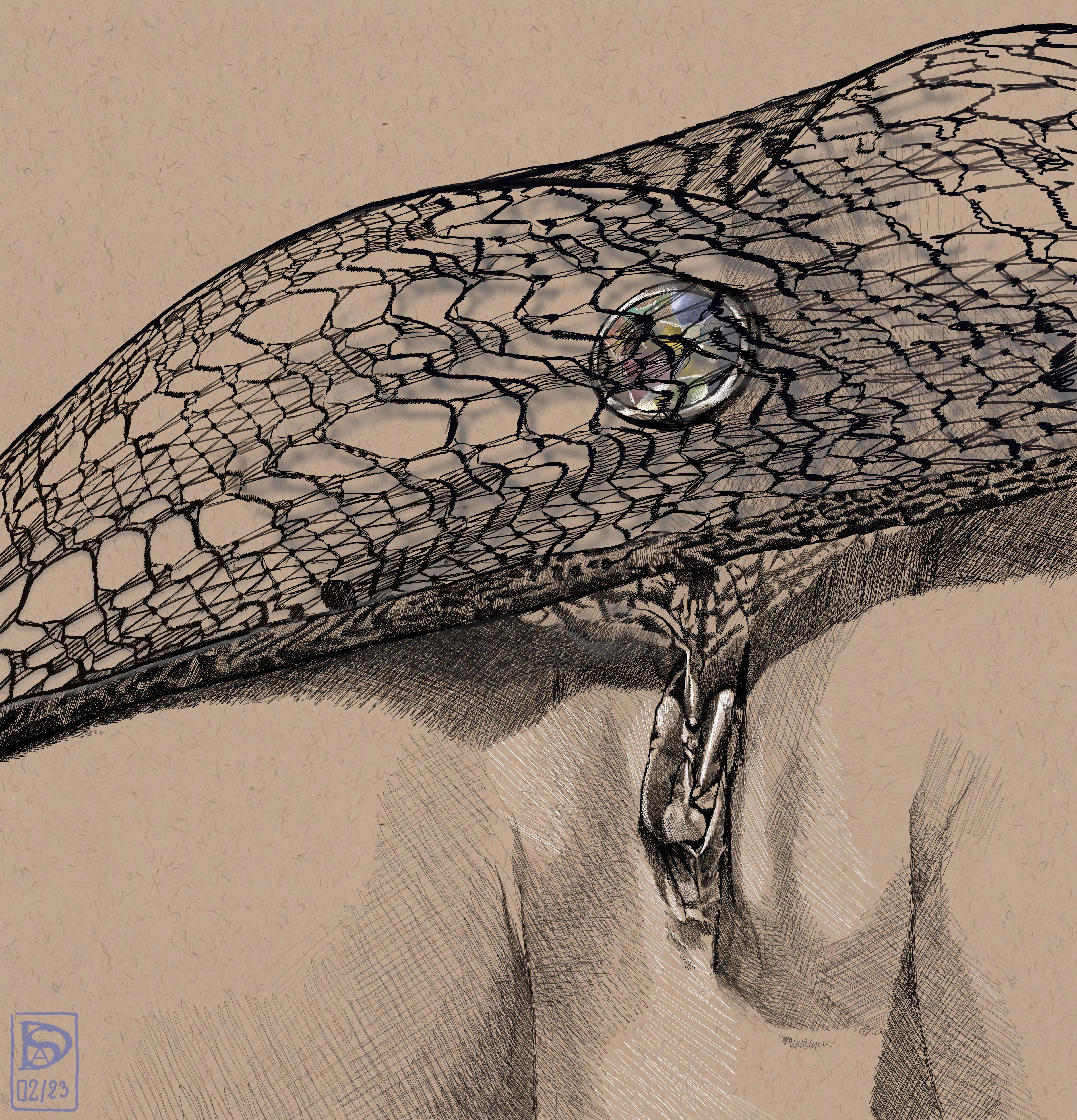 Vulve #30 drawn by me