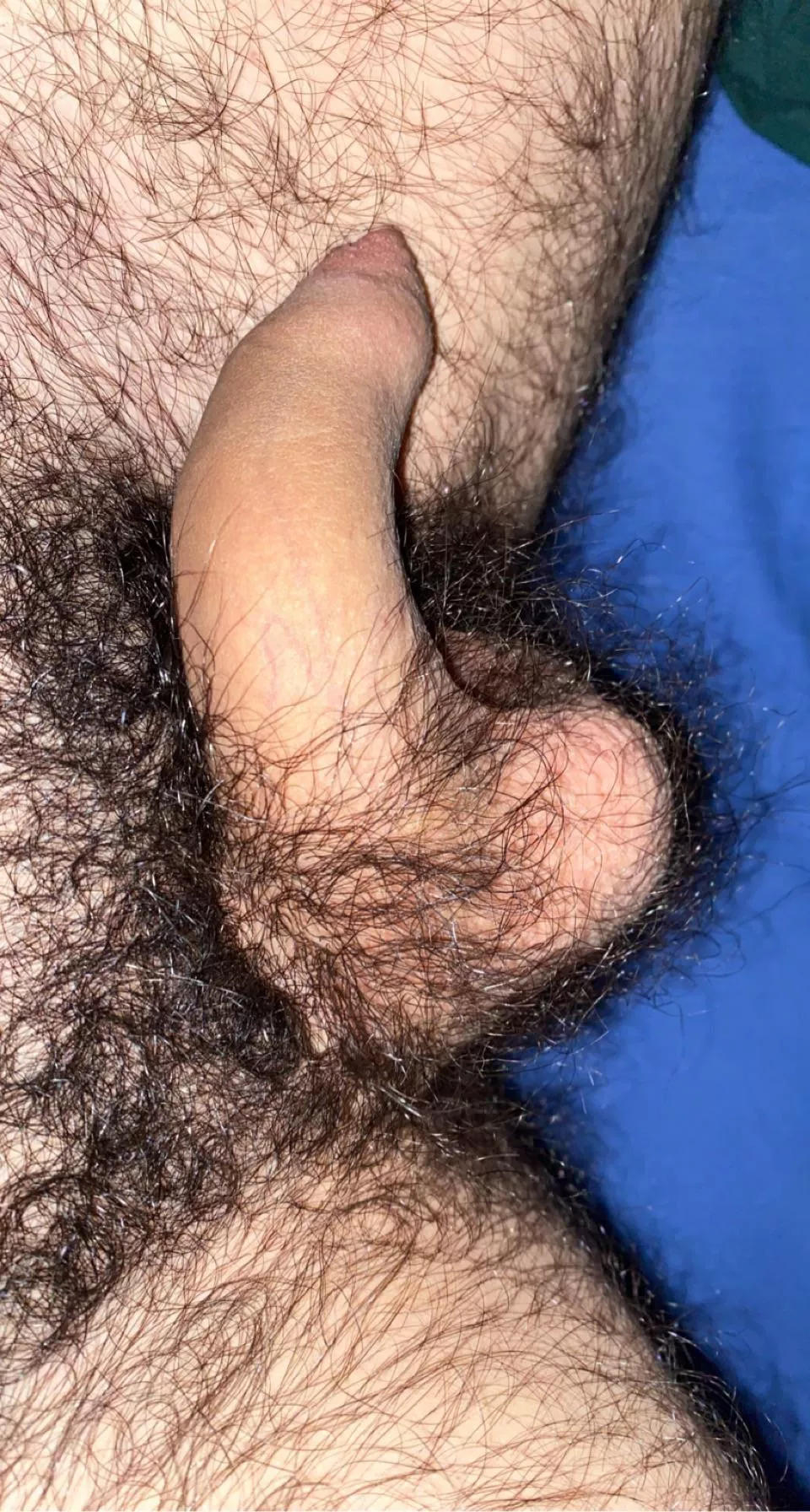 23 otter fr, horny add me if you’re fit and hairy ( sc: yghairy ) send pic when add
