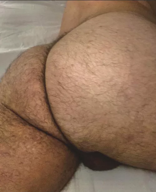 Anyone into furry ass?