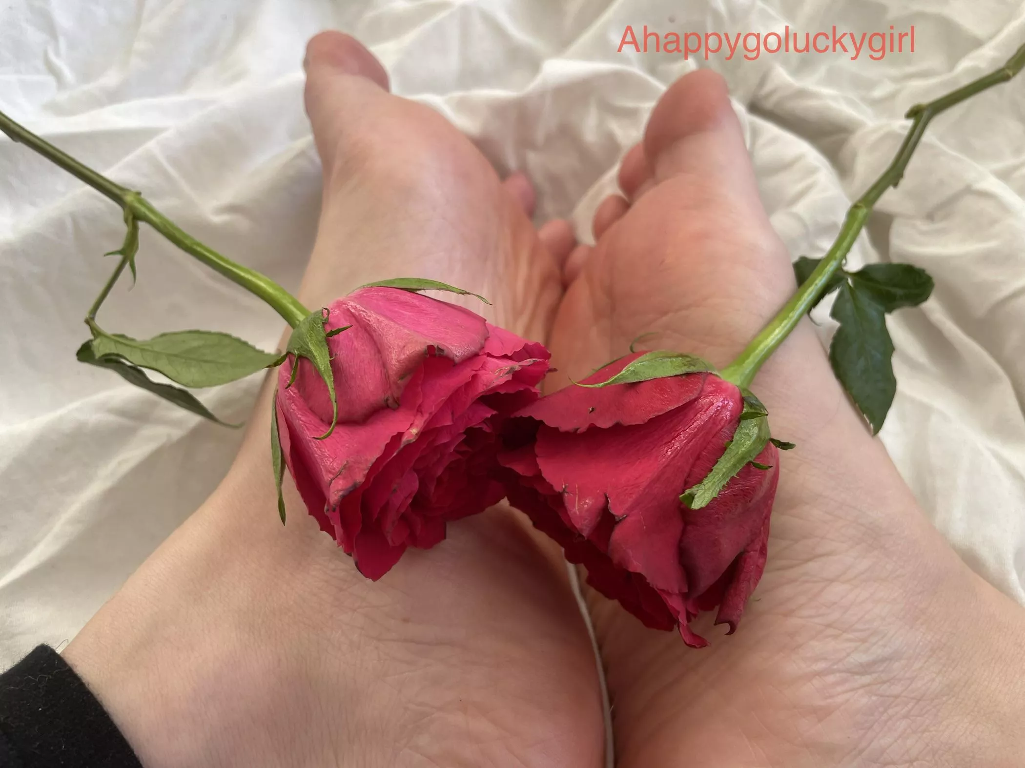 Be my dirty valentine 🌹🔥