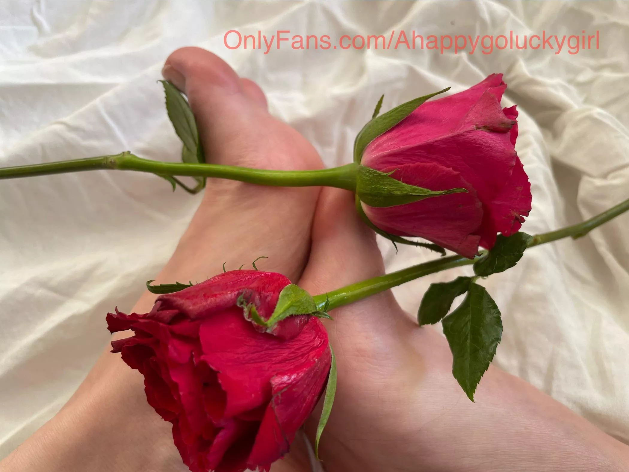 Be my valentine and please me🌹🔥