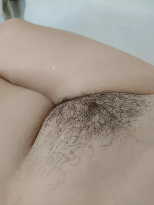 bush, Argentinian mom