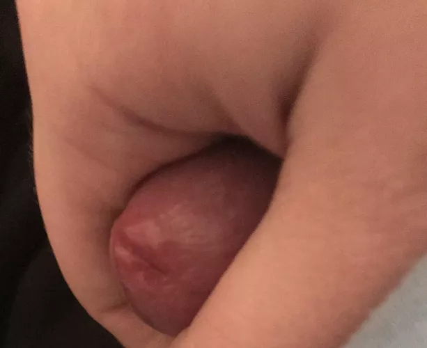 First time showing pp :3 would you suck it?