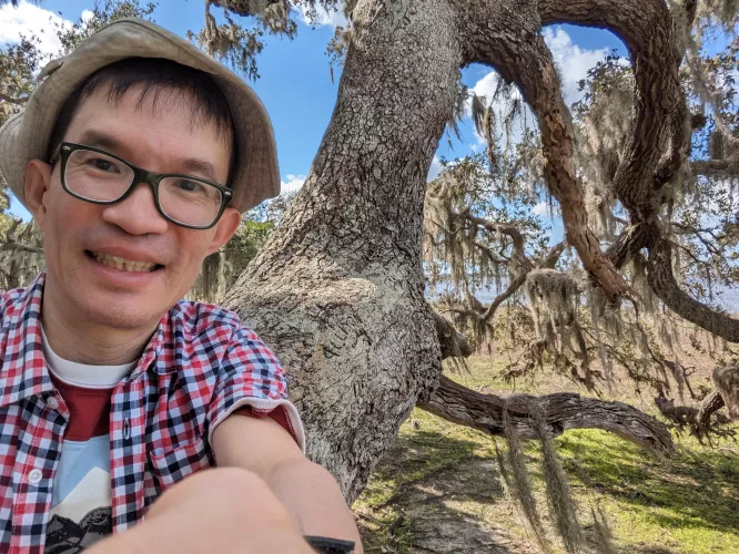 First time travel to USA and climbed on a tree