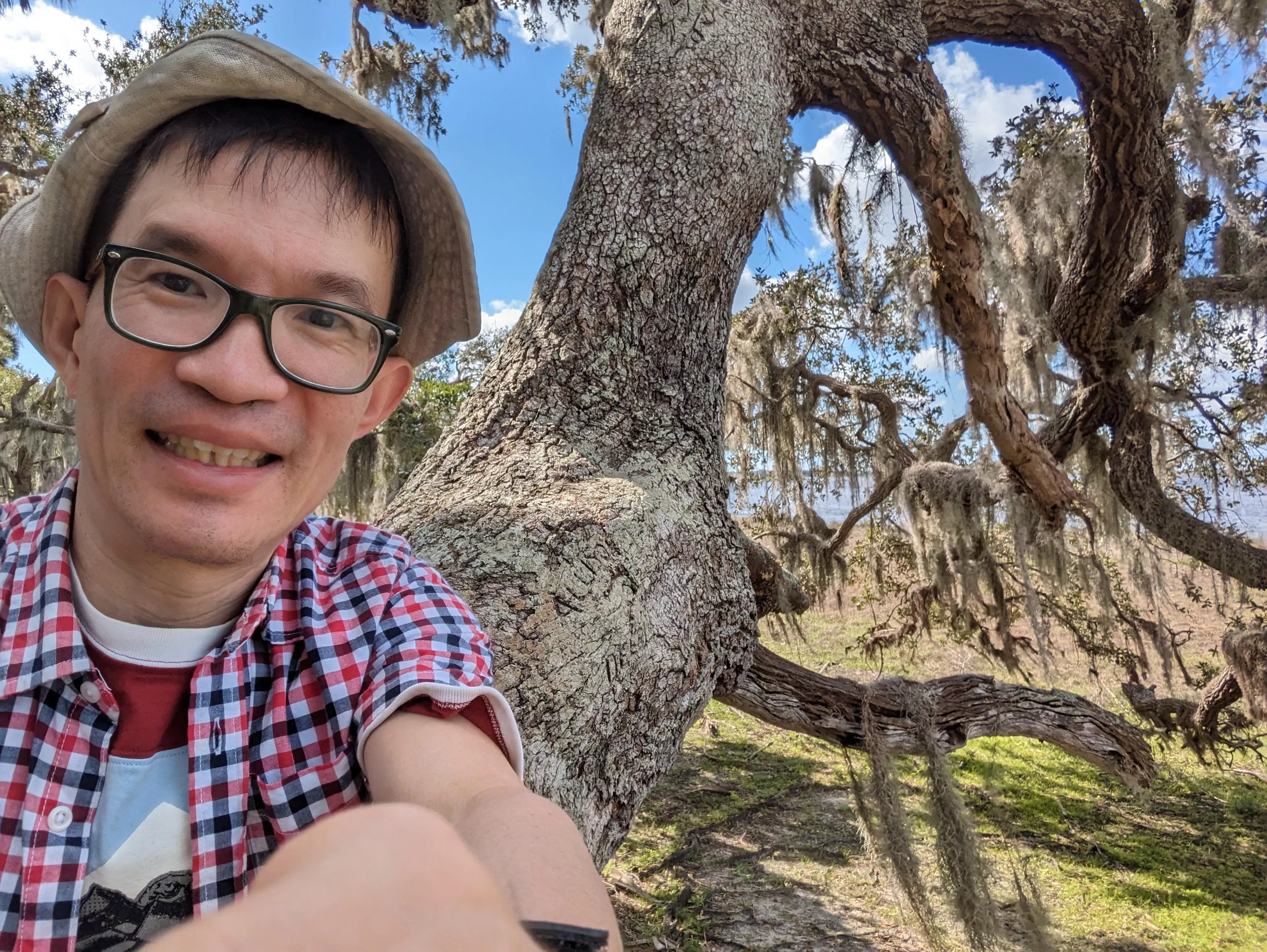 First time travel to USA and climbed on a tree