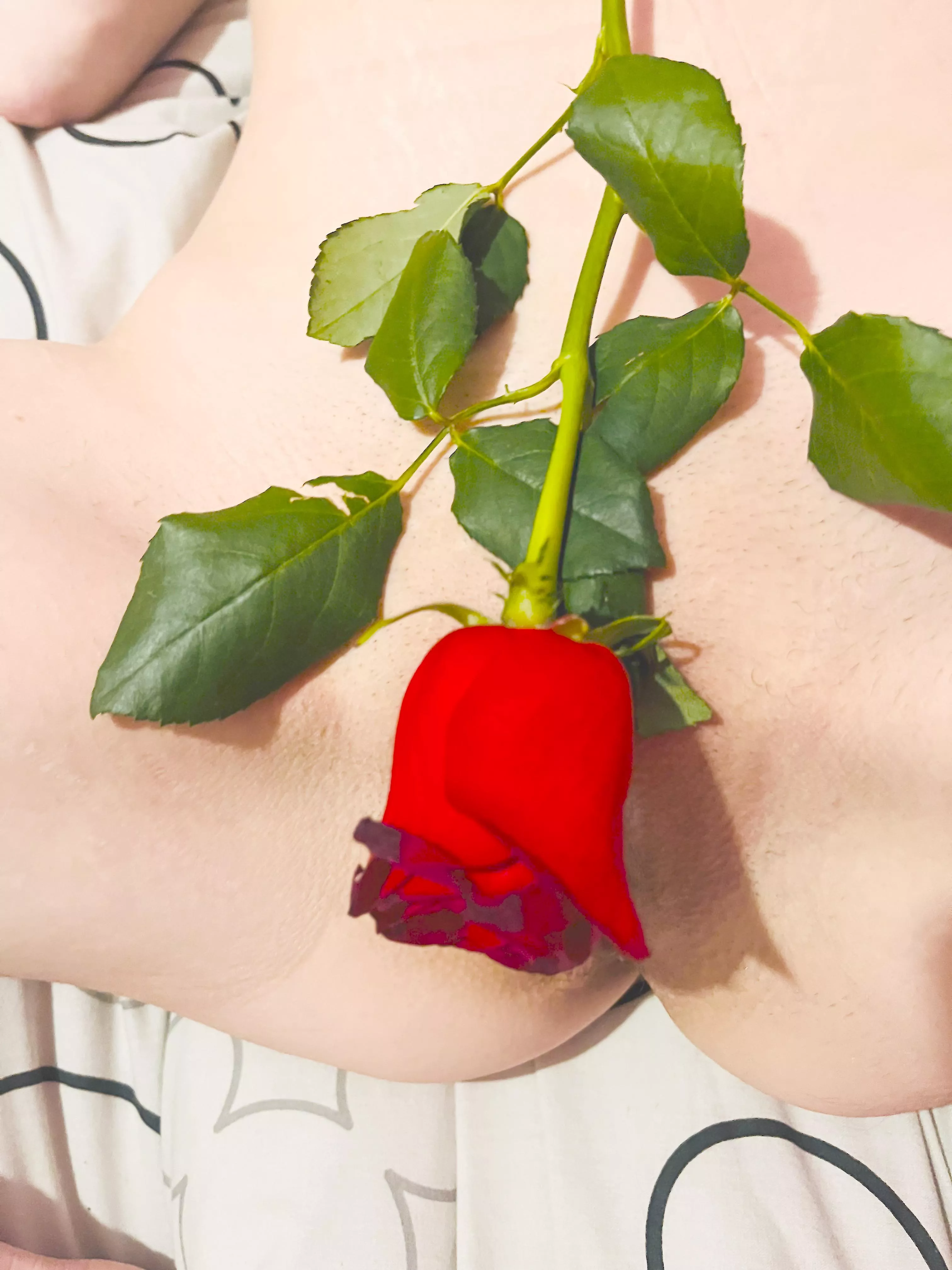 Happy Valentine’s Day❤️