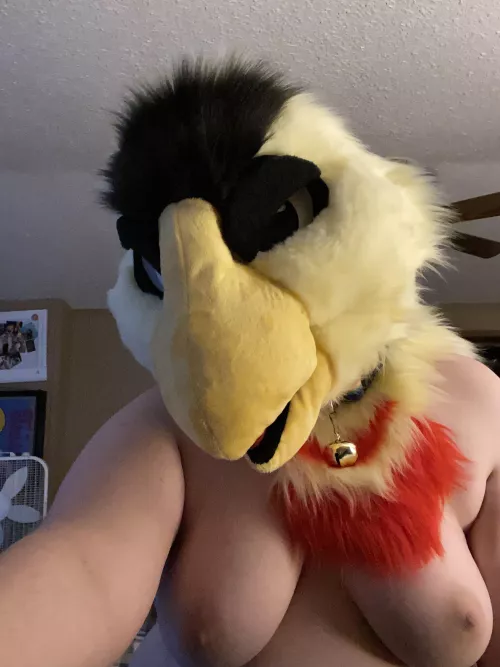 Happy Valentine’s Day!!