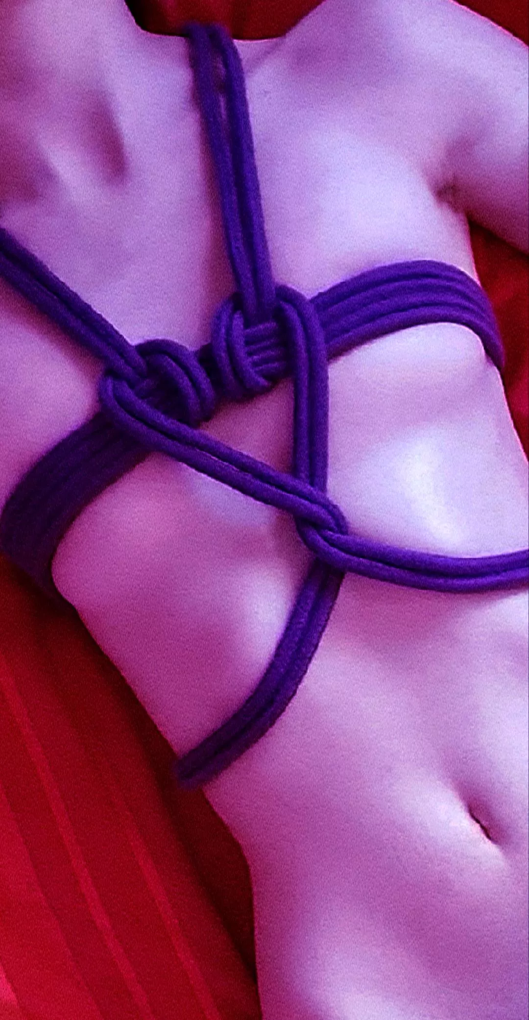 Happy Valentine's Day~ 💜