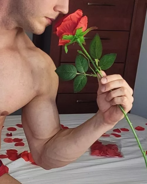 Happy Valentine's Day 🌹