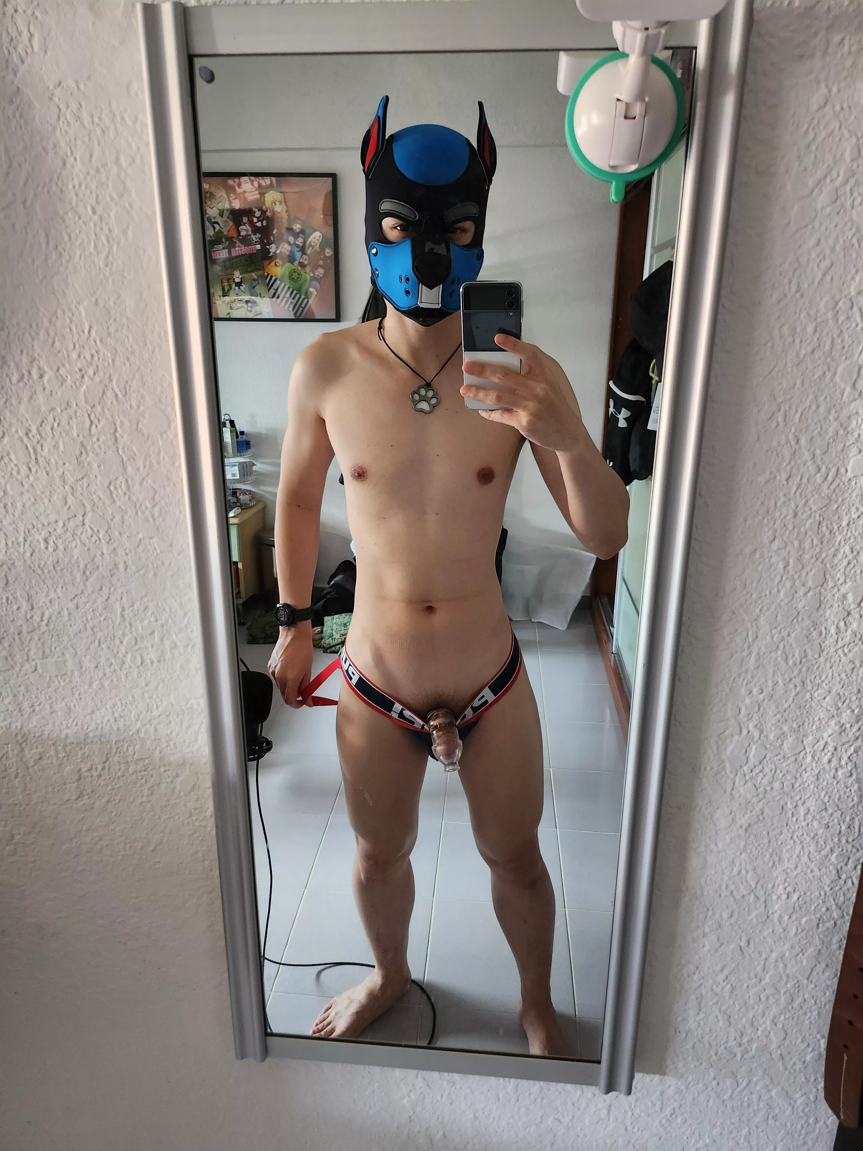 Happy valentines! Here's my gift to you... to use as you wish 🐶