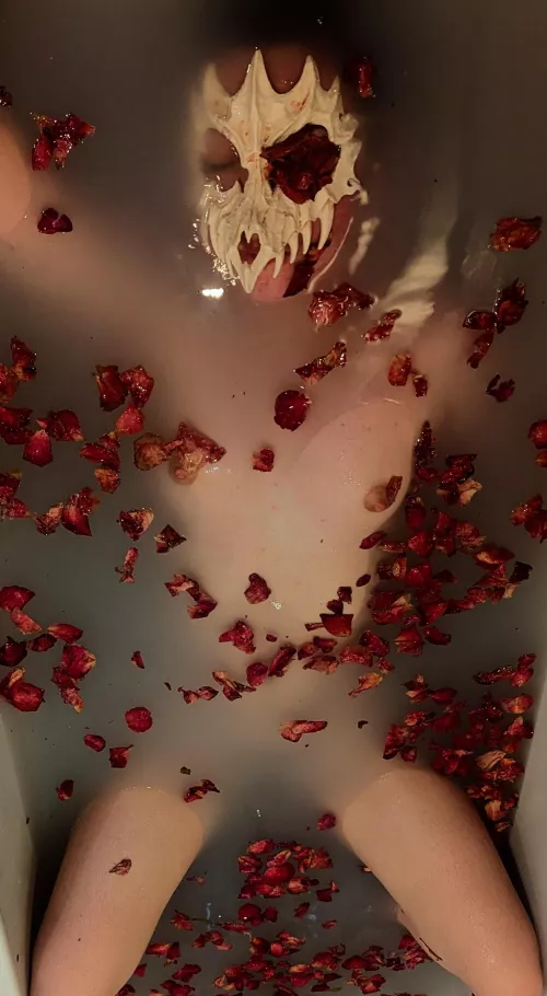 i took a photo shoot for y'all as a valentine's treat... do you like it?