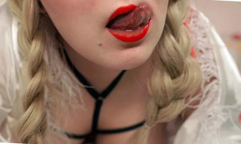 Is it allowed to be wild here