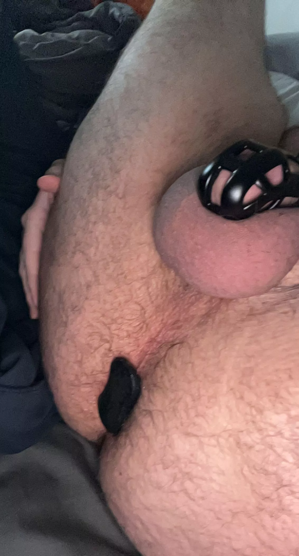 Locked and plugged because my master told me to