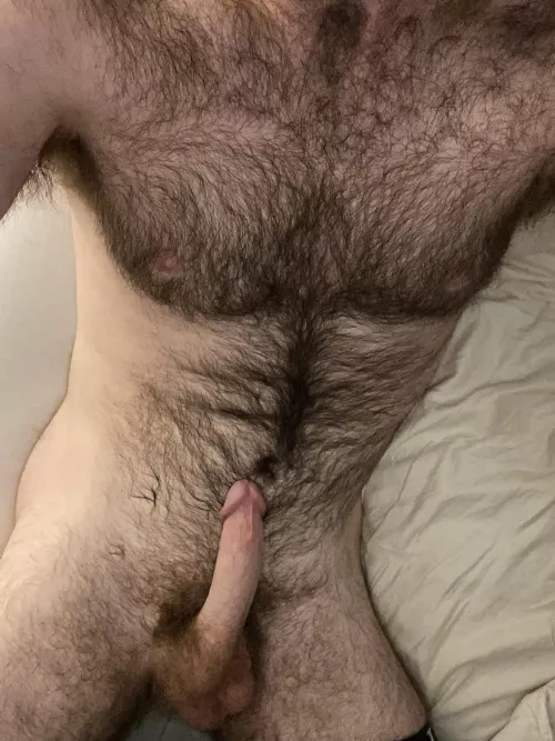 Looking for a little cutie to grind this cock on