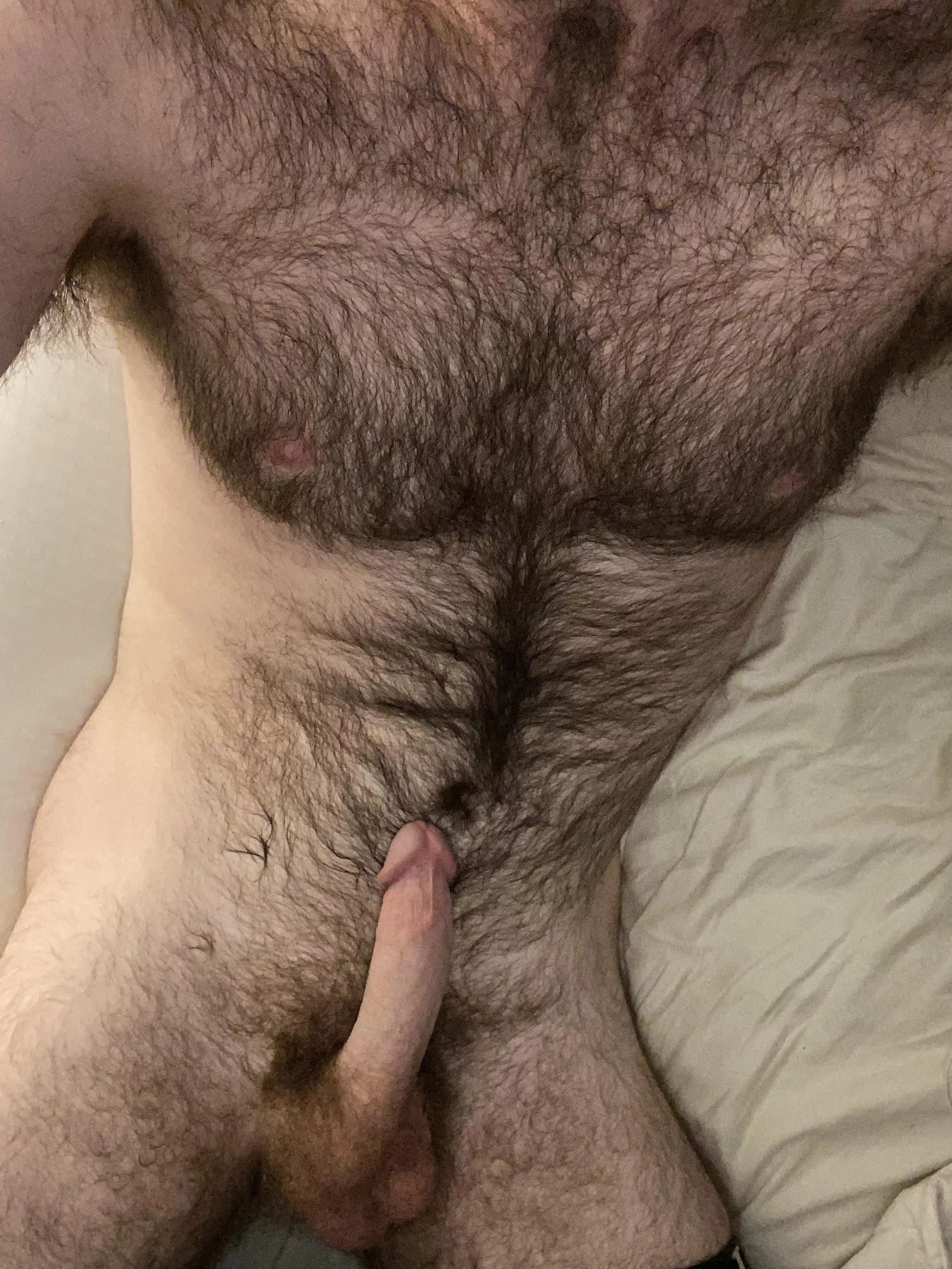 Looking for a little cutie to grind this cock on