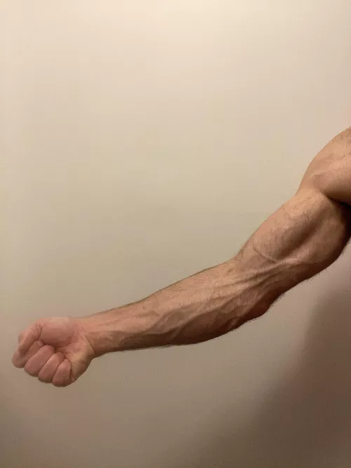 Natural vascularity, imagine when I'm lifting 😅