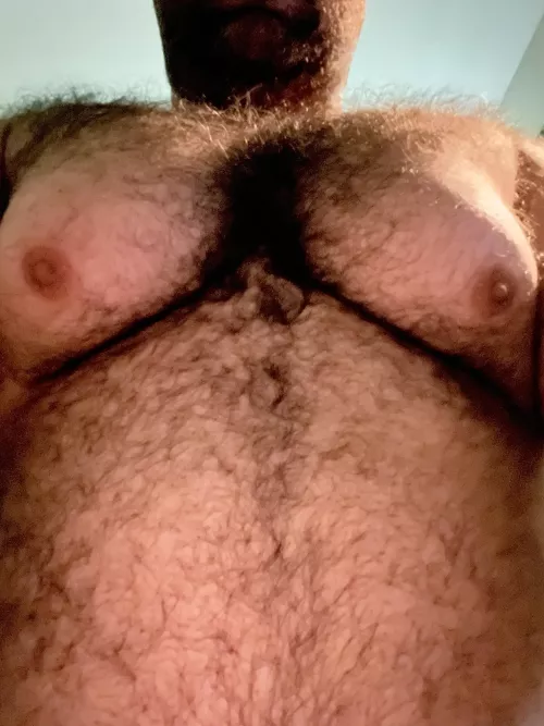 Run ur fingers through my chest hair🐻