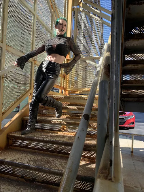 Shiny in the sunlight