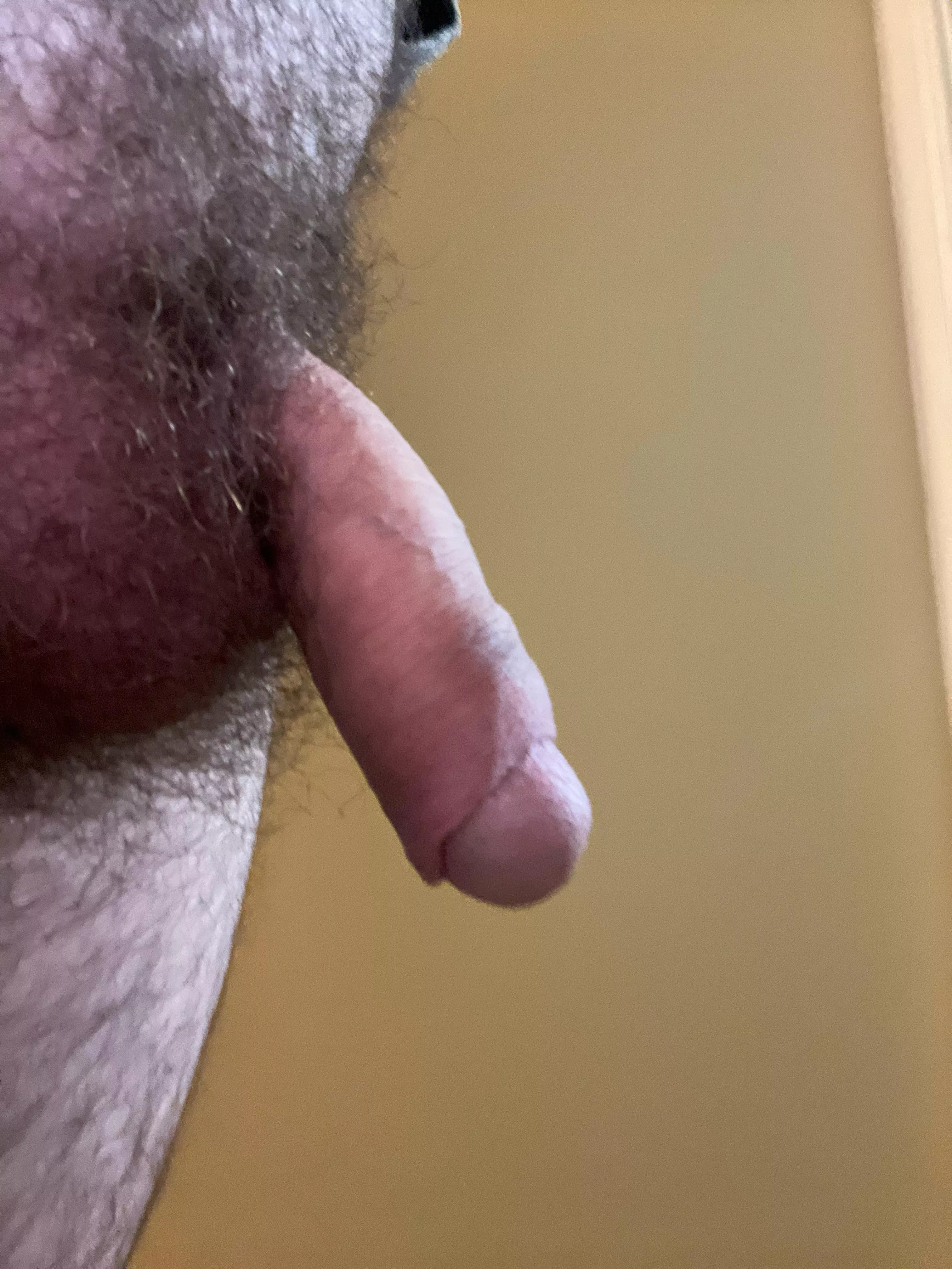 Soft chilling and looking for some appreciation