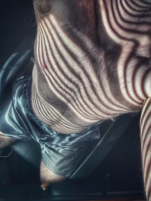 Sunshine while working from home…☀️