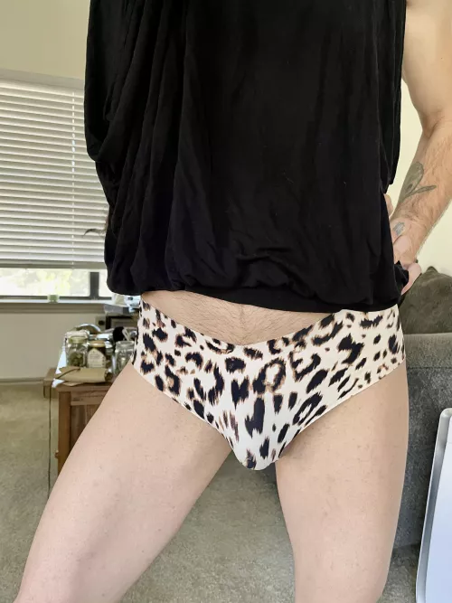 Want to see what’s underneath? Curiosity is what pleases the cat!