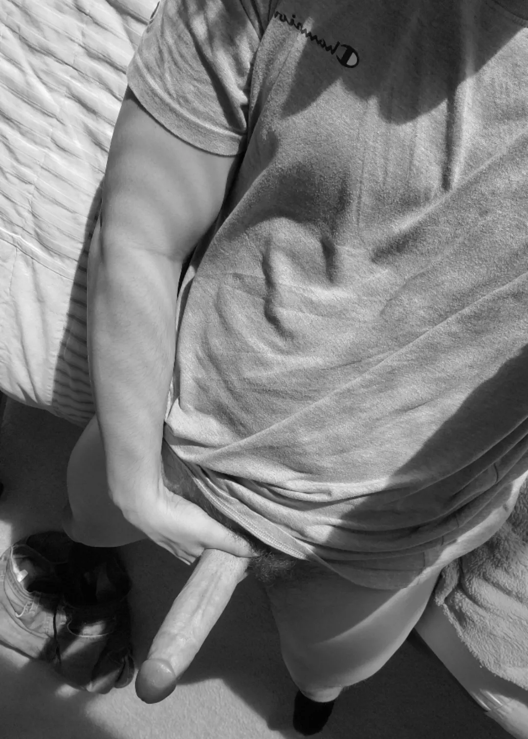 [24] This alpha needs some head