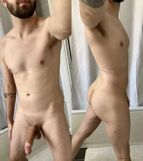 27 UK cut bull in training