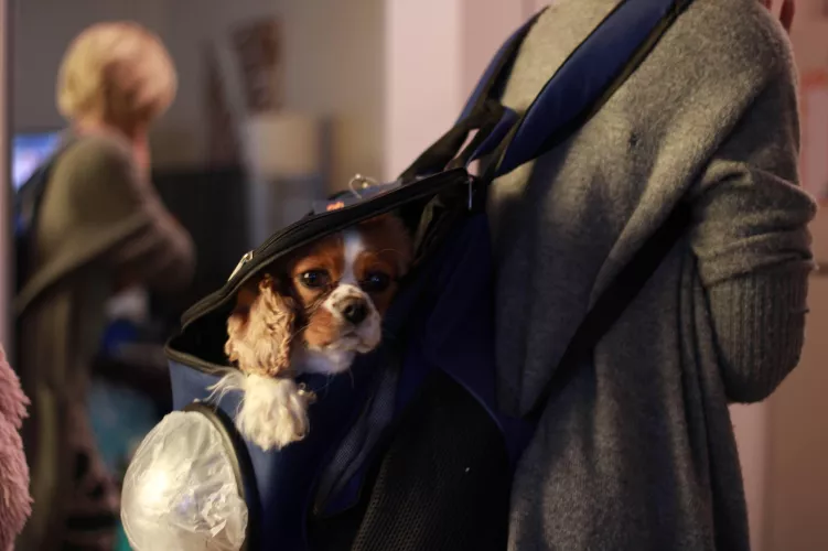 Am I in the right place lol