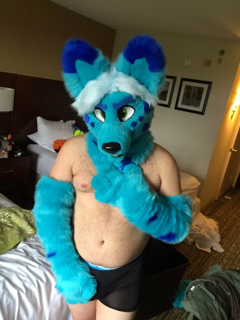 Can I interest you in a soft yeen?