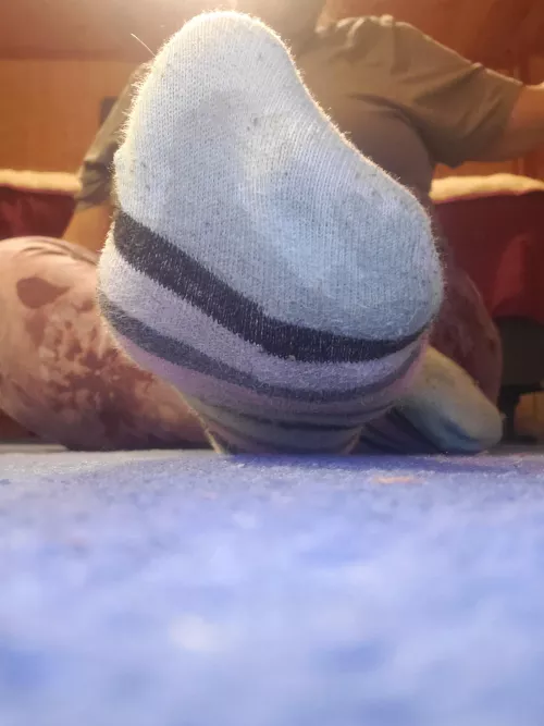 Come a little closer pets and soak up my sweat.