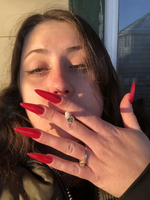 Daddy issues, data dumpster, dumb on purpose 👾