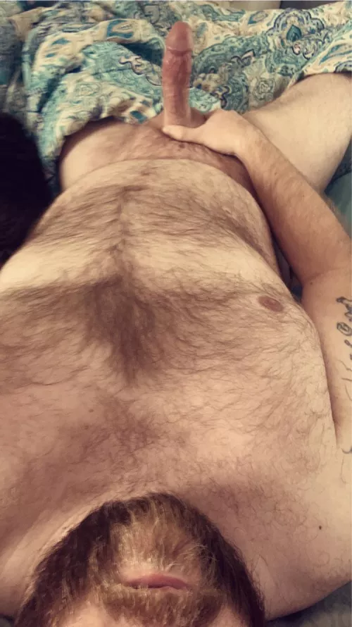 Decided to skip work and stay in bed today. Join me?