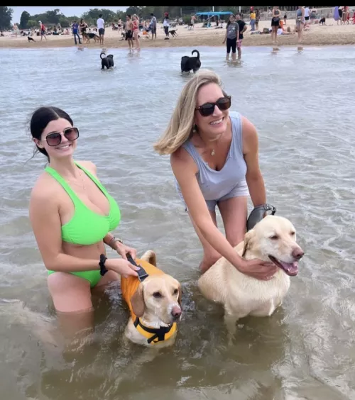 Getting all the attention