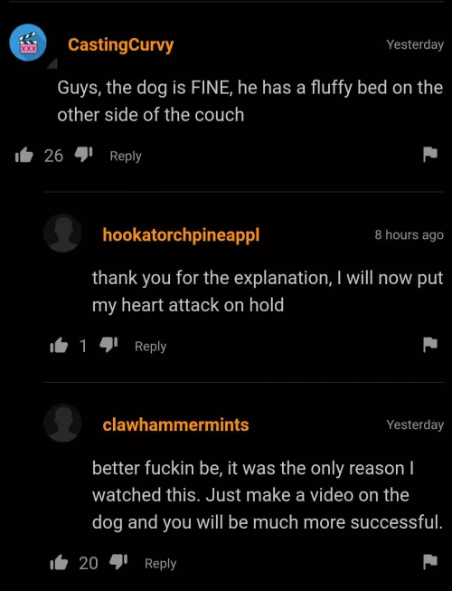 Gotta make sure the doggo is okay