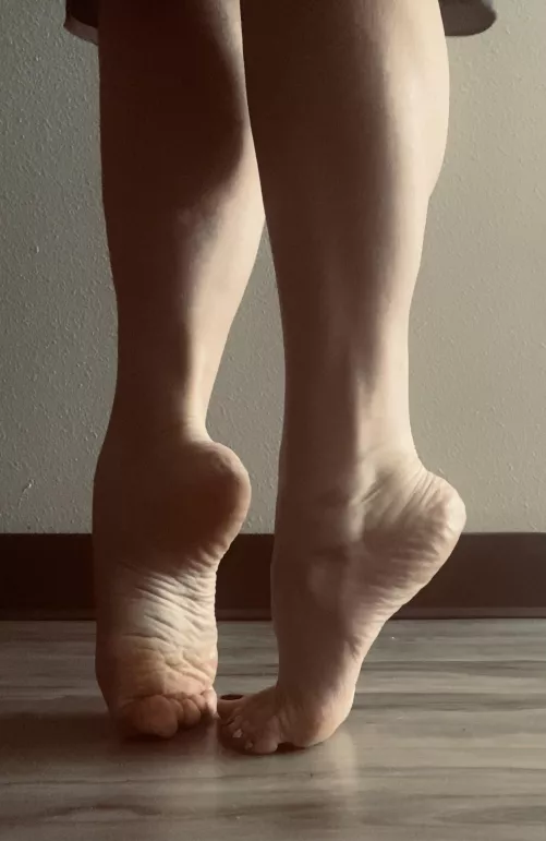 I saw a chameleon today. I am assuming it wasn’t a very good one.