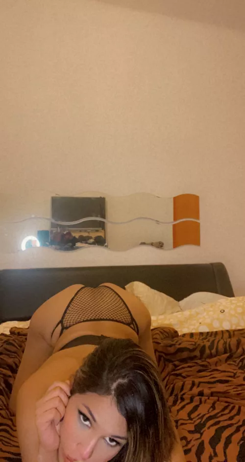 I’m searching for a good boy