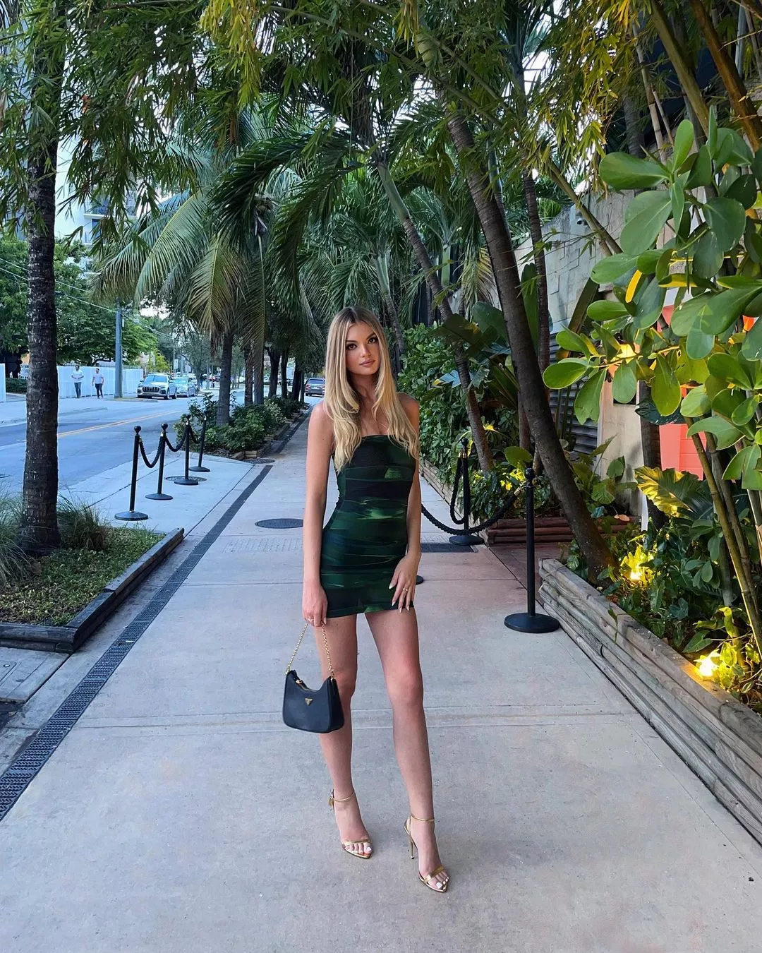 Little Green Dress