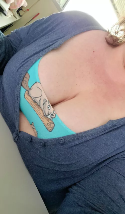 Not sure if this counts as showing my beaver in the office or not