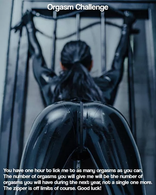 Orgasm Challenge