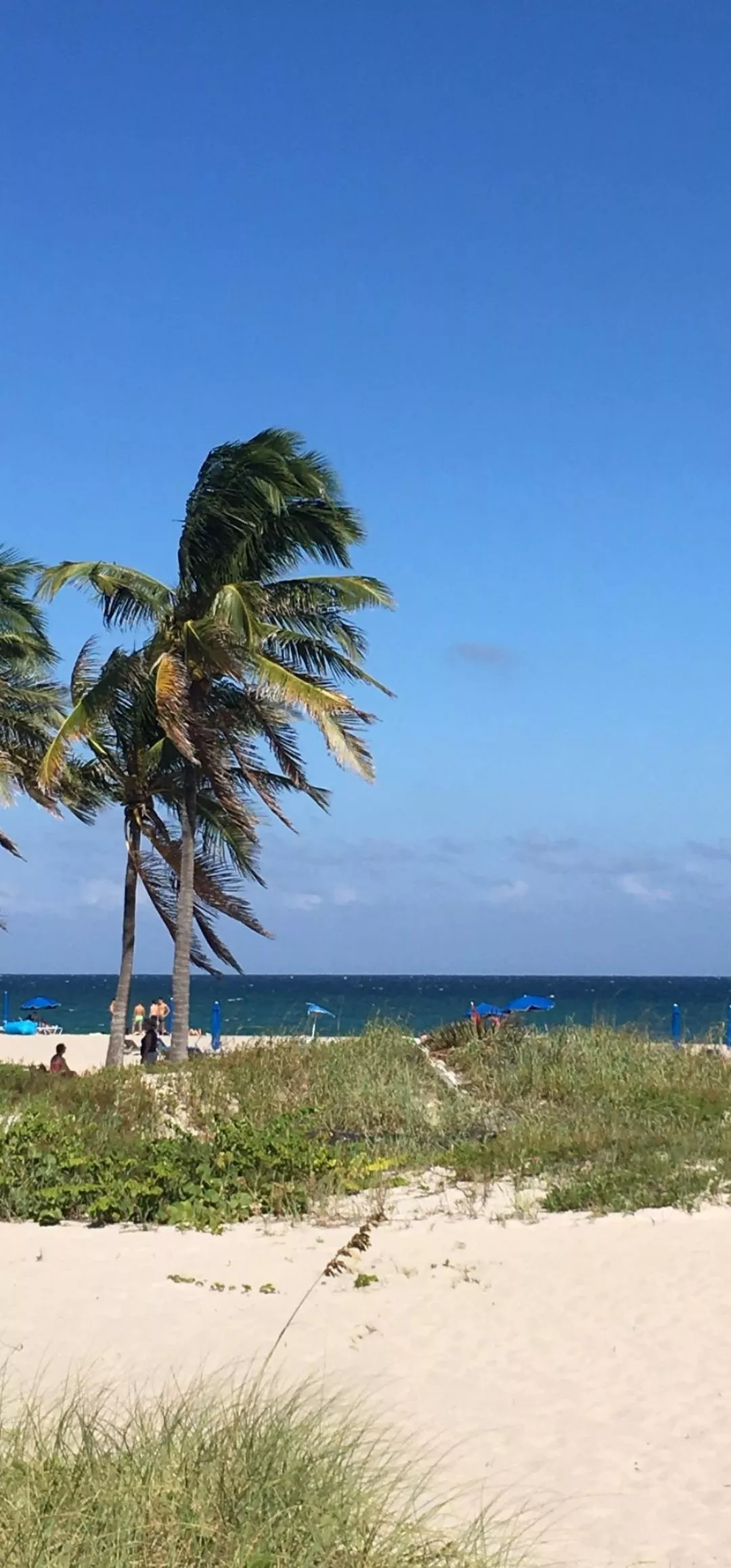 Pompano Beach Florida