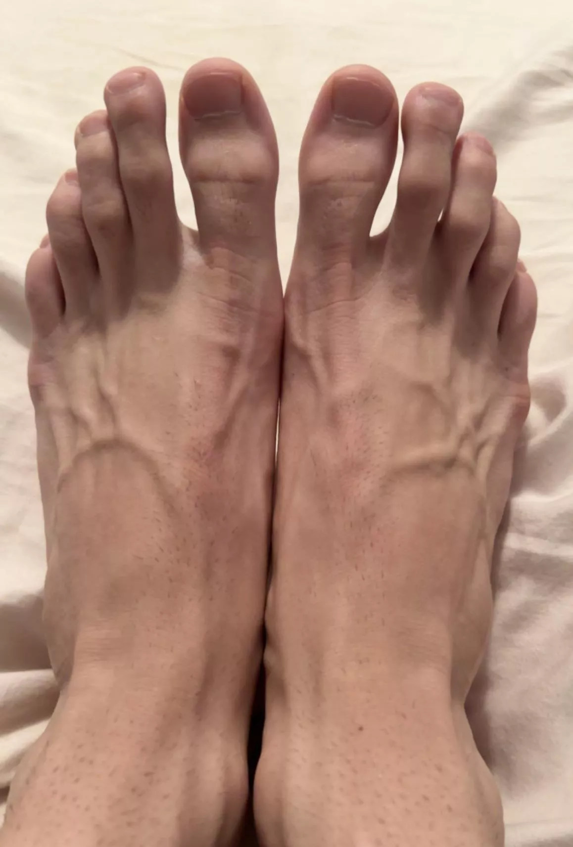 Roses are red, violets are blue, suck my toes to