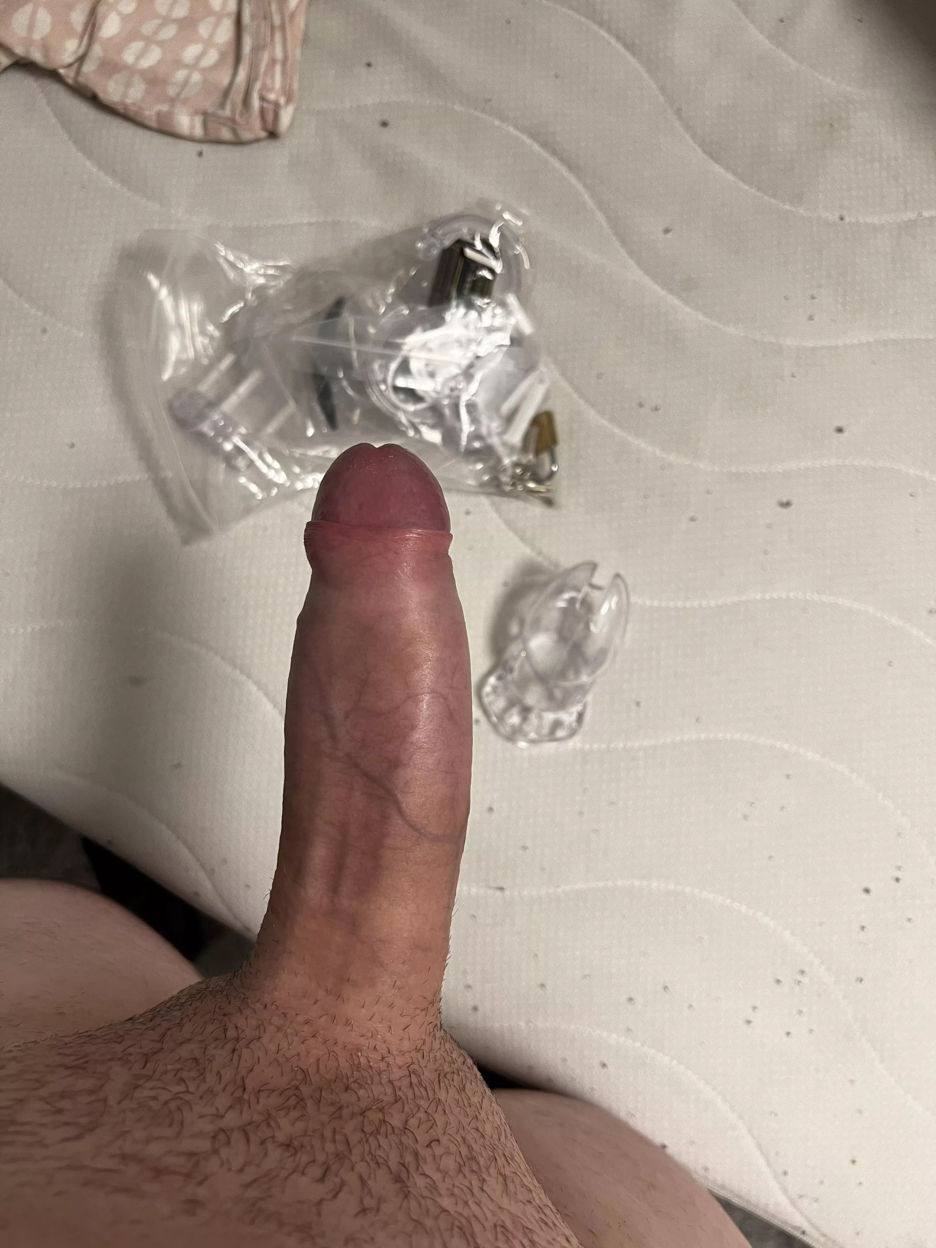 Should i lock this beast or fuck my gf ?