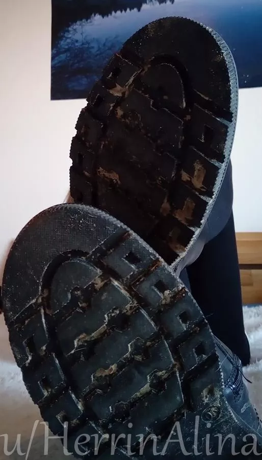 show me your tongue, pet