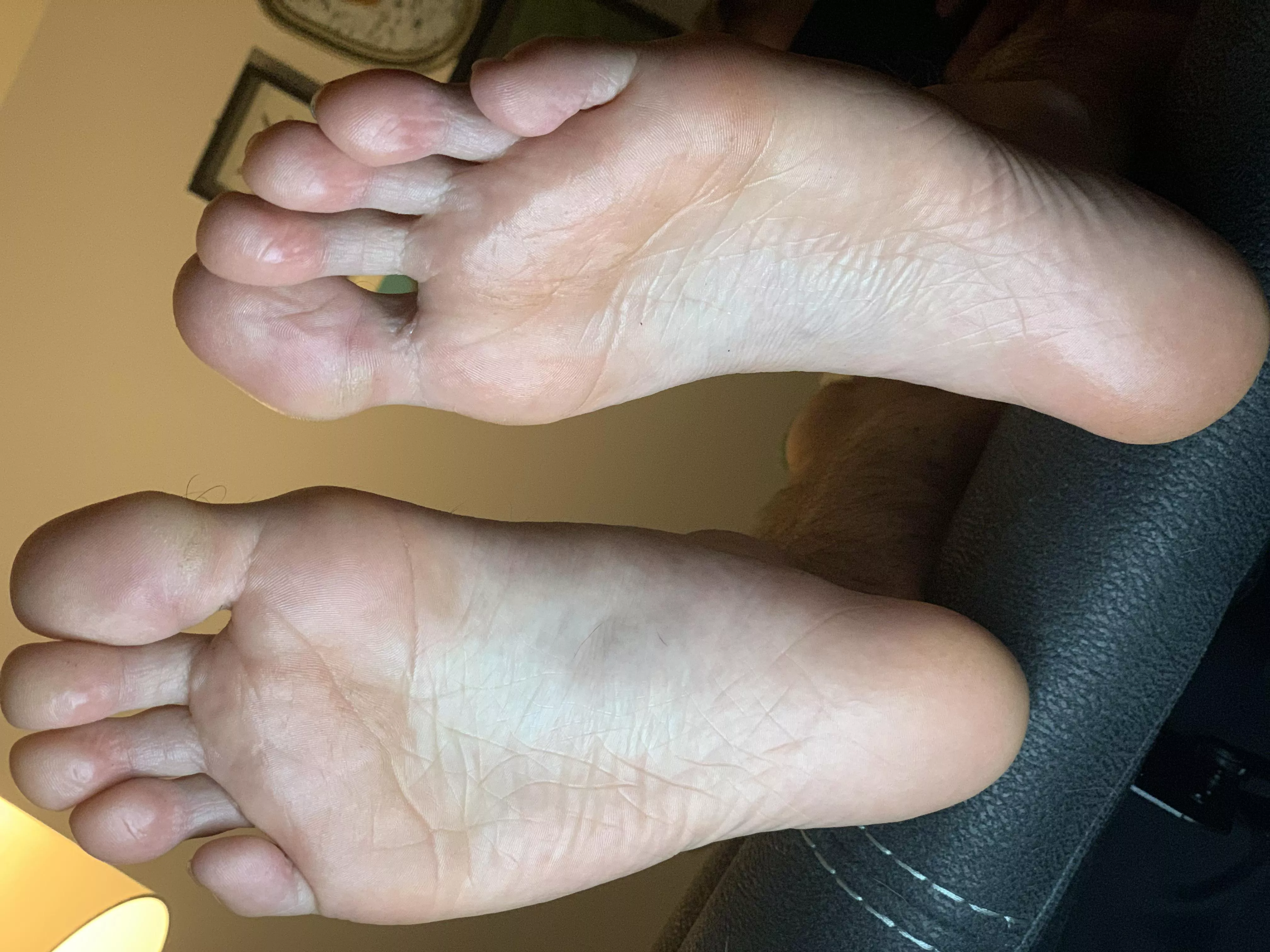 Show these piggies some needed love