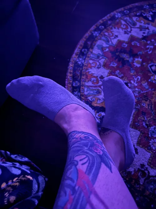 Smother your face in these socks [female]