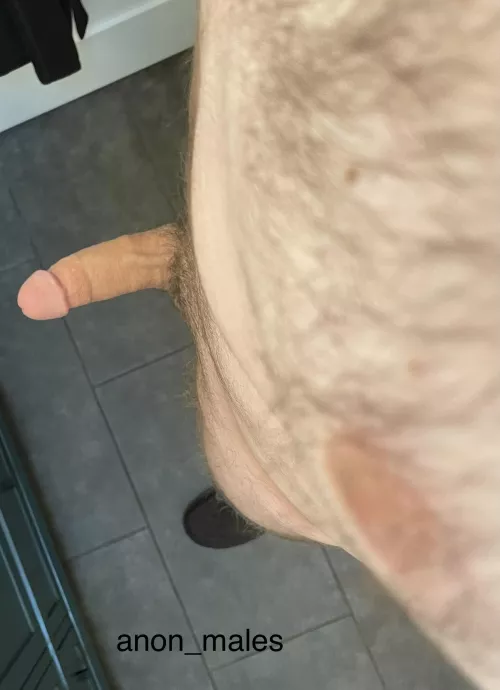 Which is better the hairy chest or the cock? [29] [M]