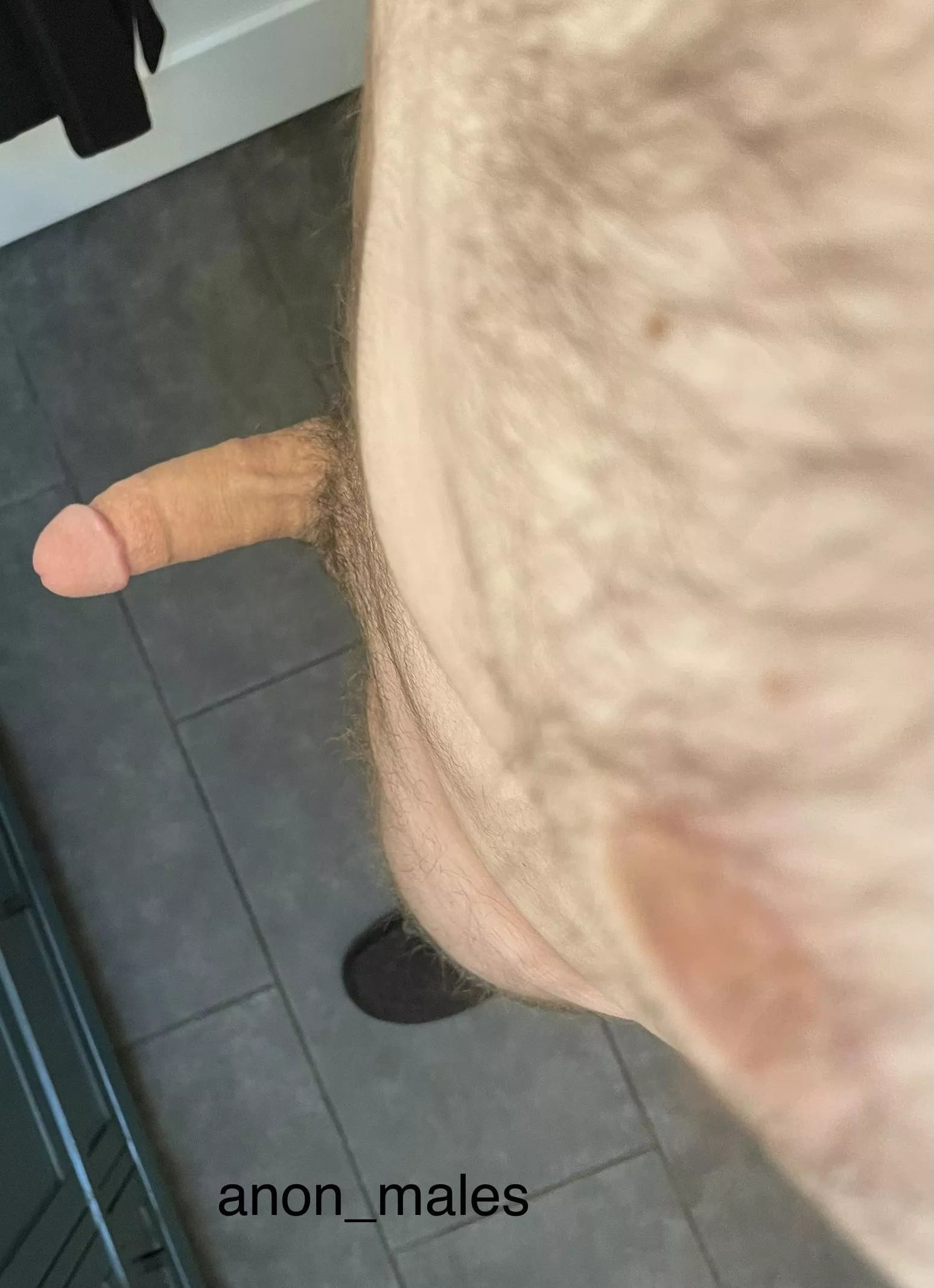 Which is better the hairy chest or the cock? [29] [M]