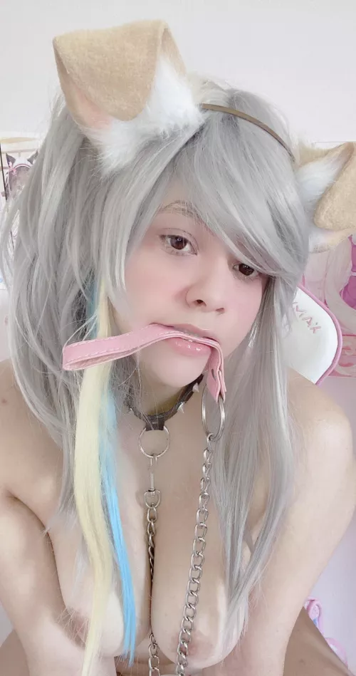 would you fuck me or walk me? [f]